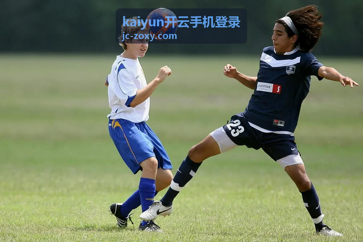 kaiyun开云手机登录手机端登录通道操作说明封面