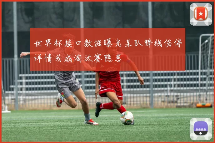 世界杯接口数据曝光某队锋线伤停详情或成淘汰赛隐患