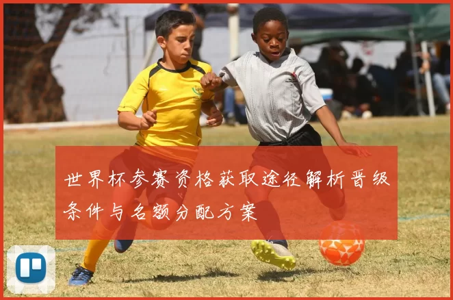 世界杯参赛资格获取途径解析晋级条件与名额分配方案