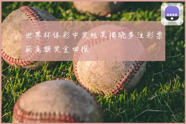 世界杯体彩中奖结果揭晓多注彩票获高额奖金回报