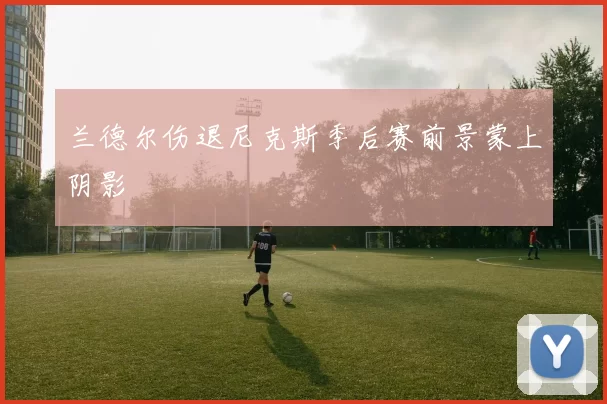 兰德尔伤退尼克斯季后赛前景蒙上阴影