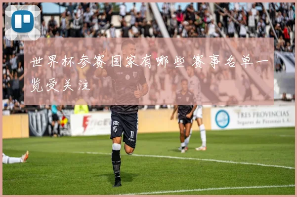 世界杯参赛国家有哪些 赛事名单一览受关注